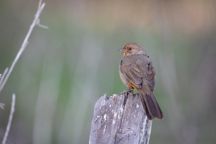 黄页网站入口免费版